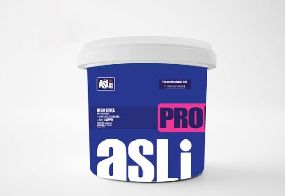 Asli Pro Interior Emulsion