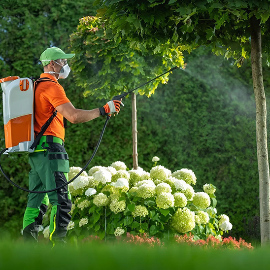 Categories-Pictures-Biocides