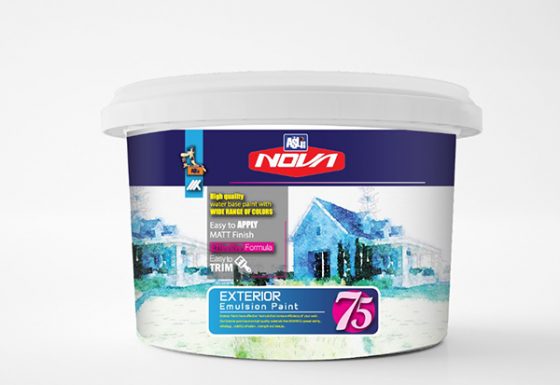 Exterior Silicone Emulsion