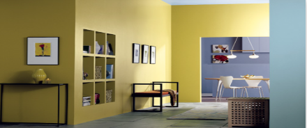 Interior Paints